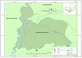 Image result for Eriochloa macclounii