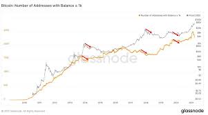 What is the bear market? A Decrease In Bitcoin Whales Suggests A Bear Market Is Due Whylose Com