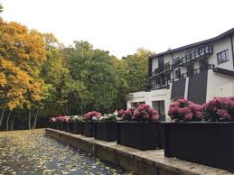 Super meniu de burger black angus blue cheese shrimp giant clasic și vegetarian stiri botosani. Rediu Hotel Restaurant Botosani Restaurant Reviews Photos Phone Number Tripadvisor