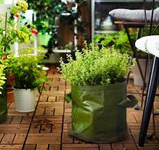 Dekoration Verleiht Deinem Zuhause Eine Ganz Personliche Note Urban Garden Herbs Growing Herbs