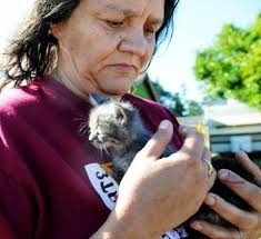 Feral feline overpopulation overwhelms Coos County