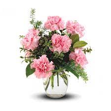 Pure Long Lasting Enjoyment In A Simple Glass Vase Of Carnations And Mixed Foliage The Perfect Littl Carnation Flower Flower Arrangements Anniversary Flowers