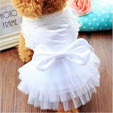 Jul 29, 2021 · das hochzeitskleid wurde durch eine kollektive anstrengung gefunden, jemand lieh ein dunkelblaues kleid im meerjungfrauenstil, und in diesem kleid band das mädel sich an die ehe. Pin By Tatiana On Vestidos De Novias Para Perritas In 2021 Dog Dresses Wedding Pets Wedding Dresses