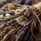Join Me In creating a Besom event image
