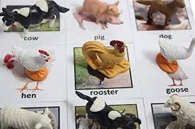 Amazon Com Montessori Animal Match Miniature Farm Animal Toy Figurines With Matching Cards 2 Part Cards Monte Farm Animal Toys Learning Toys Toddler Toys