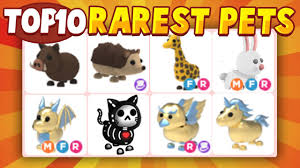 Top 10 Rarest Pets In Adopt Me Roblox Adopt Me Youtube However, the 'pets' section of the backpack was added long before that. top 10 rarest pets in adopt me roblox adopt me