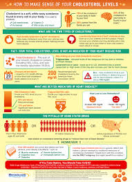 Understanding Cholesterol Infographics Graphs Net