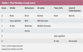 Image result for Croup Score