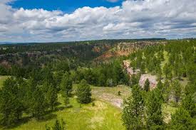We did not find results for: Custer Sd Lot Land For Sale 58 Listings Trulia Page 2