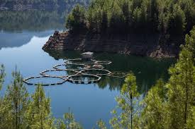 The upgrade tree allows you to click to get more funds. View Of A Fish Farm On A Lake By Hakan Sophie Fish Farm Forest