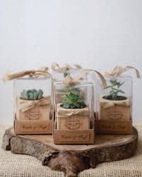 Succulents Panosundaki Pin