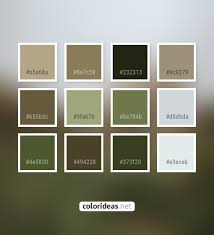The hex codes can be found underneath each of the color swatches. Mongoose Gray 9fa67b Sage Color Palette Color Palette Ideas