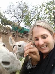 Honkie-Donkie Plasie