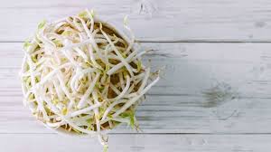 Cara gampang membuat tauge sendiri,,lbih bersih dan higienis ,,cocok untuk soto,rawon pecel dll. Manfaat Tauge Kacang Ijo