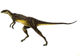 Lesothosaurus was originally considered an ornithopod. Dinosaur Profile Lesothosaurus In His Image