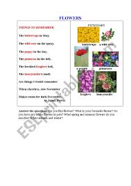 Like the sugar you put in your cereal. Flowers A Poem A Pictionary Questions To Discuss Esl Worksheet By Korova Daisy
