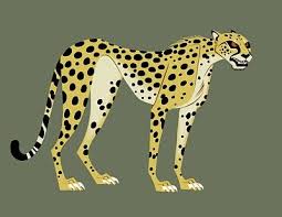 Ben Balistreri Wild Kratts Wild Kratts Cheetah Cartoon Animals Wild