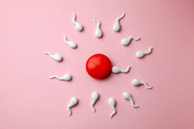 Andere fragen sich erst, wenn die menstruation ausbleibt: Schwanger Trotz Pille Kann Das Sein Wir Klaren Auf