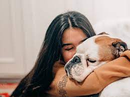 Maybe you would like to learn more about one of these? Can Dogs Transmit Coronavirus Keep You And Your Pets Safe