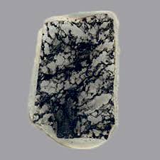 Image result for organisms and their environment