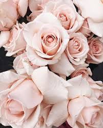 Pastel pink flowers background, top view, layout or greeting card for mothers day, wedding or happy event. Pin On Kepek