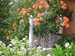 Minigarten Planen Und Gestalten Mini Garten Garten Gartengestaltung Ideen