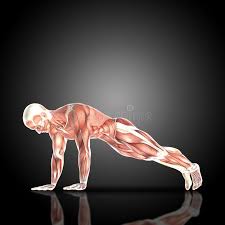 Understanding how the body moves and creates movement with the. Athlete Muscle Strength Pose Stock Illustrations 2 447 Athlete Muscle Strength Pose Stock Illustrations Vectors Clipart Dreamstime