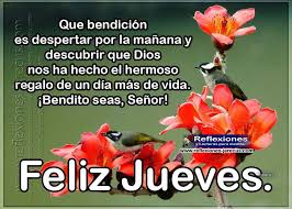 İndir feliz jueves bendiciones apk. Feliz Jueves Que Bendicion Es Despestar Por La Manana Feliz Jueves Feliz Jueves Bendiciones Buenos Dias Jueves