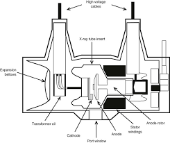 Plain Radiographic Imaging Radiology Key
