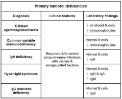 Image result for Humoral Immunodeficiency