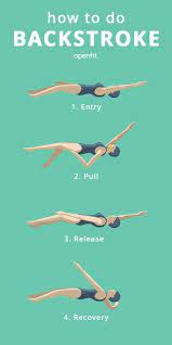 Pull yourself up until your chin is above the bar. Pin On Swim