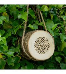 Image result for log