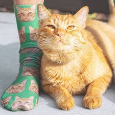 Your pet on socks, blankets, and more. 3d Printed Custom Cat Face Socks Personalized Cat Socks Custom Cat Birthday Gifts Cat Lover Socks Christmas Gift Women Men Sock Socks Aliexpress