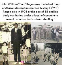 African and Black History AfricanArchives