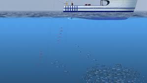 Check spelling or type a new query. Apes Chapter 11 Commercial Fishing Methods Flashcards Quizlet