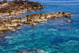We did not find results for: Mediterania Simasakti Umroh