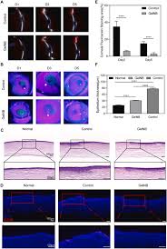 Icici bank launched nri coral credit card exclusively for nri's visiting india along with lots of exciting offers. A Long Term Retaining Molecular Coating For Corneal Regeneration Sciencedirect