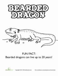 The komodo dragon is the largest living reptile in the world. Bearded Dragon Worksheet Education Com