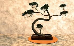 Menanam bonsai tidak disarankan untuk memberikan nutrisi secara berlebihan. Bonsai Bentuk Ciri 21 Jenis Pembuatan Dan Harga