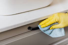 Close the door of the cabinet and spray the spray cleaner on the surface of the cabinet. Cleaning Painted Cabinets Doors Clean Kitchen Cupboard Doors