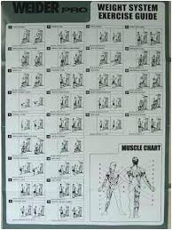 80 symbolic weider ultimate body works exercise chart download