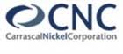 Carrascal nickel corporation(cnc) sebilo resources. Carrascal Nickel Corporation Jobs And Careers Reviews