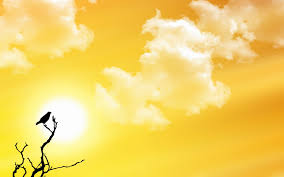 Orangener himmel über anzere in der schweiz bild: Hintergrundbilder Sonnenlicht Landschaft Sonnenuntergang Himmel Gelb Morgen Sonne Wolke 1920x1200 Px Computer Tapete Atmosphare Der Erde Schriftart Meteorologisches Phanomen 1920x1200 707920 Hintergrundbilder Wallhere