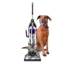 Bissell Powerglide Lift Off Pet Plus Manual Bissell Product Support Powerglide Lift Off Pet Plus Upright Vacuum 2043