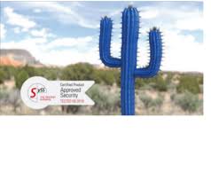 Buy the best and latest diy cat cactus on banggood.com offer the quality diy cat cactus on sale with worldwide free shipping. Unique Quality Made In Germany