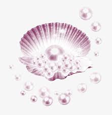 لؤلؤ الأرجواني الديكور Pearls Shells Sea Shells