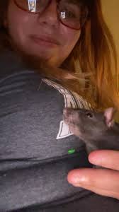 Sven being melodramatic after he tried to fight his brother and lost💀 [  ](https://www.reddit.com/r/RATS/?f=flair_name%3A%22CUTENESS%22)