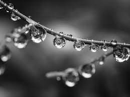 Find over 100+ of the best free black and white aesthetic images. Black And White Aesthetic Moody Monochrome Pictures Click Love Grow