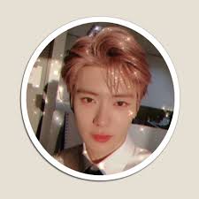 Jung jaehyun, jaehyun nct, bae, crushes, idol, spring, house,. Jaehyun Magnets Redbubble