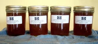 Homemade prickly pear pepper jelly and how we like to serve it over cream cheese and with ritz crackers. Prickly Pear Jelly Recipe Root Simple